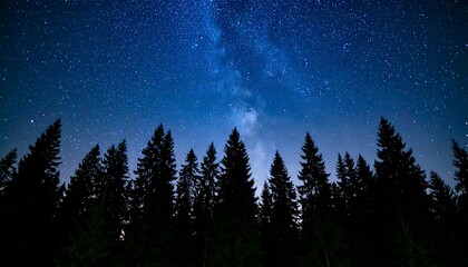 Silhouetted trees against a starry night sky with Milky Way