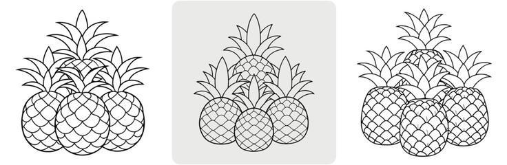 Various Pineapples Outline - Coloring Book Page Line Art Vector