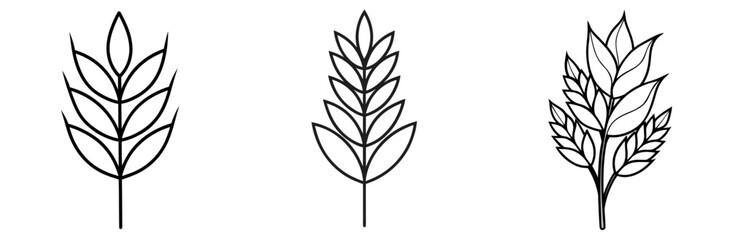 Naklejka premium Wheat Plant Outline - Coloring Book Page Line Art Vector