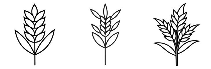 Naklejka premium Wheat Plant Outline - Coloring Book Page Line Art Vector