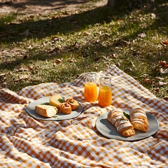 Bright Outdoor Picnic with Food and Drinks on a Checkered Blanket