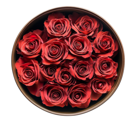 A dozen red roses are arranged in a metal container