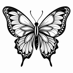 butterfly vector illustration