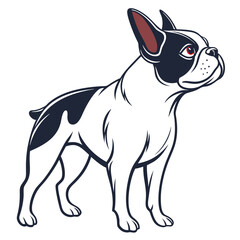 Boston Terrier Dog Vector SVG &ndash; Cute and Funny Flat Cartoon Pet Illustration for Dog Lovers and Animal Design Projects