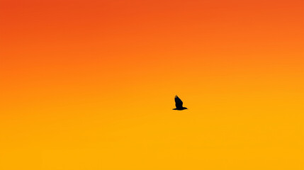 Bird silhouette against orange gradient sky