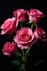 Fototapeta premium A lush bouquet of pink roses, velvety petals against a deep black backdrop , anniversary, pink roses
