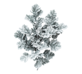 A white and green tree with snow on it