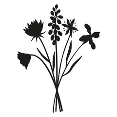 Wildflowers silhouette bouquet. Hand-drawn muscari, snowdrop, matthiola, meadow flowers, herbs, and wild plants. Botanical elements for design projects. Minimal style, vector illustration