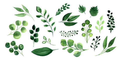 Watercolor Green Leaves Isolated Elements Set. Botanical Herbs Leaf Collection, Greenery Print Design for Wedding Invitation, Save the Date, Thank You, or Spring Greeting Card
