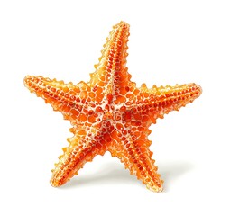 Cartoon character clipart of a pink starfish, on a solid white background
