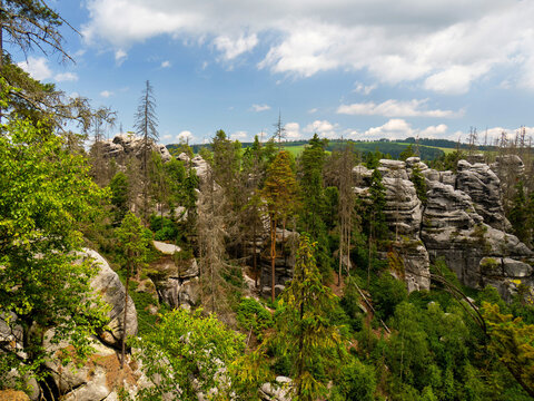 Landscape picture of sandstone formation of stone city in Ostas in Czech Republic. Sunny day, blue sky with white clouds, grey and brown tall rock formations, evergreen spruce trees