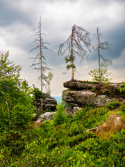 Obraz premium Landscape picture of three dead spruce trees staying above sandstone rock formation. Green trees in surrounding, heavy dark stormy clouds