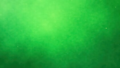 Abstract green canvas texture, subtle brushstrokes , overlay, material