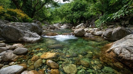 Serene Mountain Stream Flowing Through Rocky Landscape Surrounded by Lush Green Forest and Clear Water