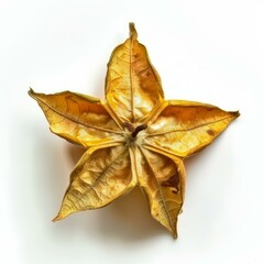Fototapeta premium Close up of a dried carambola fruit, showcasing its distinctive star shape against a clean white backdrop