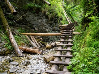Wooden steps path in Tatra mountain forest - Slovensky Raj Sucha Bela trail, dry canyon in forest,...