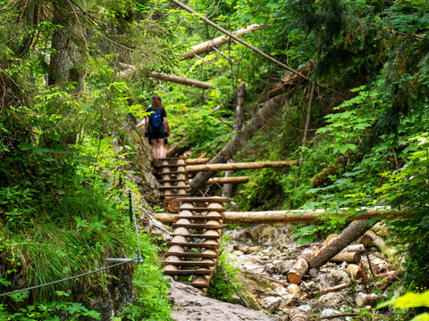 Tourist walking by wooden steps path in Tatra mountain forest - Slovensky Raj Sucha Bela trail, green dry canyon in forest, adventure vibe