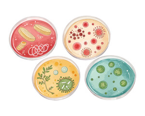 set of watercolor Agar Plates vector illustration isolated on white background