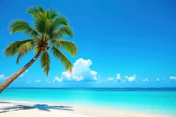 Fototapeta premium Azure sky, single palm tree silhouette against vibrant blue , vector, summer, majestic