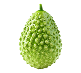 A green avocado with a bumpy surface