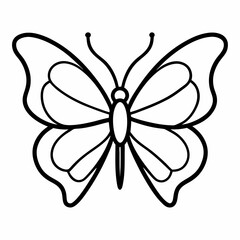 butterfly on white background