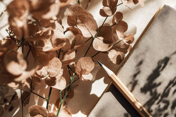 Dried flower, recycled paper notebook, wooden pencil, and soft sunlight create minimal eco friendly flat lay with natural shadows and warm, calming atmosphere