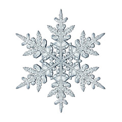 Intricate snowflake crystal macro detail isolated on transparent background