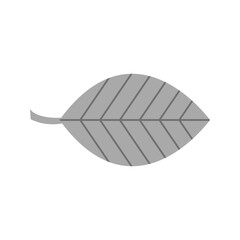 Leaf  icon