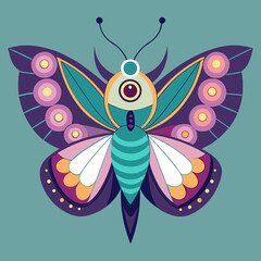 butterfly on a white background