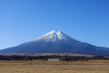 Fototapeta premium Fuji's magnificent form captivates everyone.