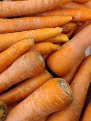 bunch of carrots