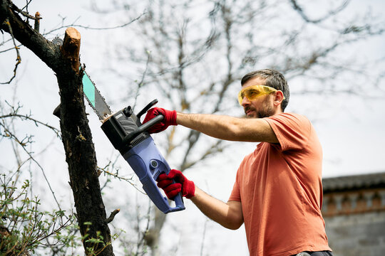Young man cutting trees using electrical chainsaw in motion at his backyard