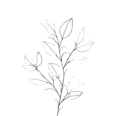 A delicate line drawing of a leafy branch with some leaves outlined and some fully rendered in black ink