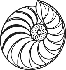 Obraz premium Vector illustration of a nautilus shell spiral pattern, a natural fractal design