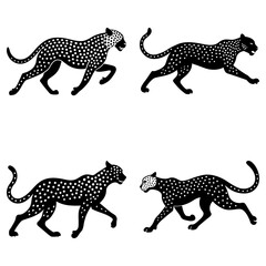 Obraz premium Four black leopards with white spots in various poses on a white background are depicted here clearly