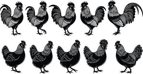 Rooster and hen silhouette collection, farm animal illustration, poultry vector artwork, black and white graphic, rural livestock design, chicken drawing