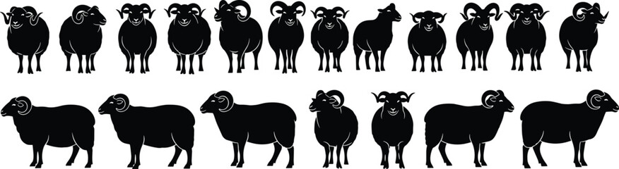 Sheep and ram silhouette set, livestock vector illustration, farm animal collection, black and white graphic, rural design, wool animal art