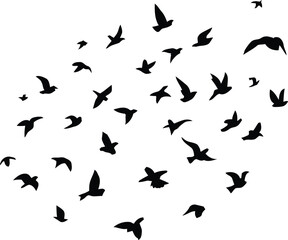 Fototapeta premium Minimalist Bird Silhouette Pattern Featuring Scattered Flying Poses in Elegant Formation — Celebrating Freedom, Nature’s Rhythm, and Visual Movement Across Airy Composition