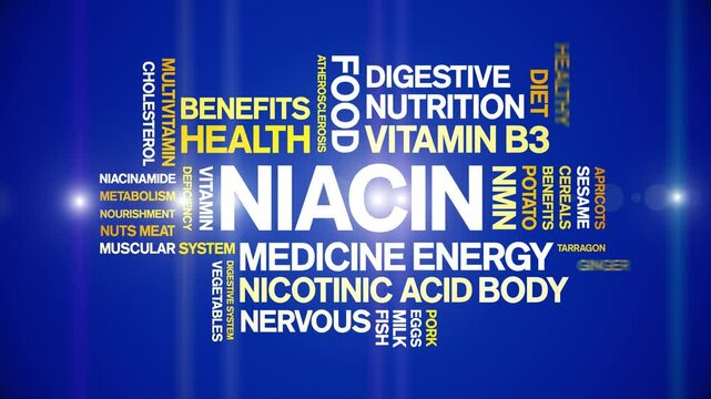 Niacin animated word cloud-text design animation tag kinetic typography seamless loop.