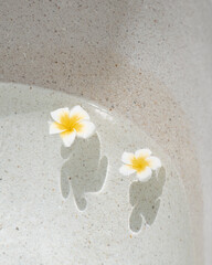 Minimal Spa Setting with Plumeria Flowers Floating in Clean Stone Tub
