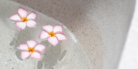 Minimalist Spa Scene with Pink Tropical Flowers Floating in Clear Water