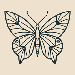 butterfly vector illustration