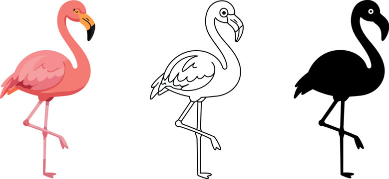 Flamingo illustration set pink flamingo coloring page flamingo silhouette vector graphic design art