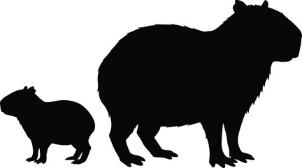 Capybara and guinea pig silhouette, isolated rodent animals, wildlife mammal comparison, vector illustration on white background, animal contrast art
