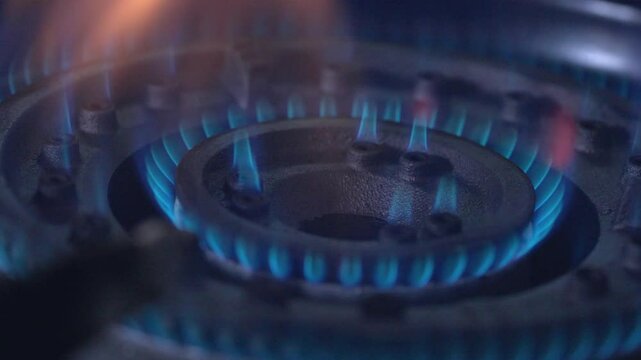 A black metal object with blue flames on it. The object is a burner