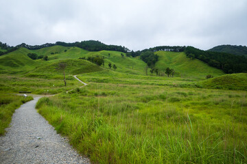 Naklejka premium 日本の兵庫県神河町の砥峰高原の美しい夏の風景