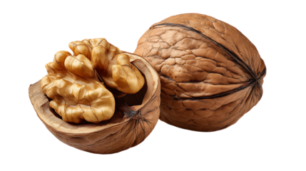 Close up of a cracked walnut with kernel exposed isolated on transparent background