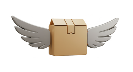 3D Flying Cardboard Box with Wings for Fast Delivery Service