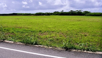 沖縄県の収穫を終えた畑