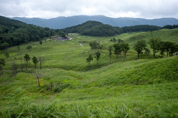 日本の兵庫県神河町の砥峰高原の美しい夏の風景